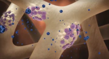 Mimicking calcium Image representing mimics calcium