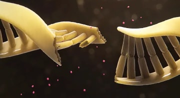 Mimicking Targeted Alpha Therapy uses alpha particles to cause cell death via double-strand DNA breaks Targeted Alpha Therapy uses alpha particles to cause cell death via double-strand DNA breaks